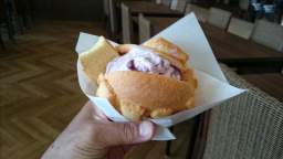 2015-08-17 11.08.01.JPG